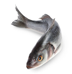 Sea bass fich isolated on white background with clipping path and full depth of field.