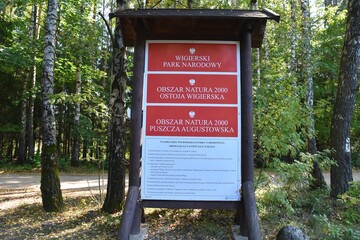 Wigierski Park Narodowy, Puszcza Augustowska