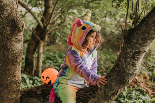 little girl in a rainbow unicorn costume kigurumi is sitting on a tree with pumpkin basket for sweets against the background of a forest. Halloween concept. space for text. High quality photo