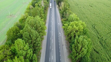 Flight over the cream of trees along the highway. Highway with busy traffic.