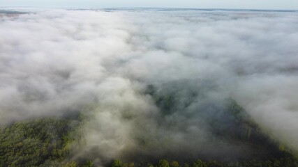 Thick autumn morning fog over the green forest. Drone flight in the morning over natural landscapes.