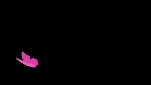 A pink butterfly flies on a black background