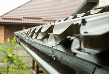 The rain falling on the metal roof
