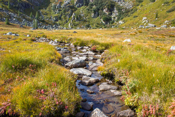 A clear mountain stream on the green meadows in the Austrian Alps
