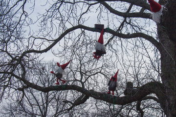 Scandinavian gnomes on a bare tree. Christmas decoration.