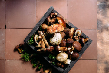 Forest mushrooms in a box on a brown background