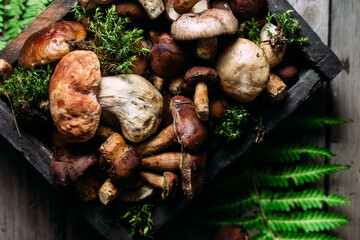 Forest mushrooms in a box on a wooden background