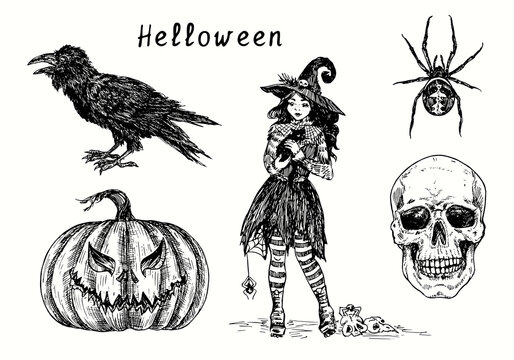 Halloween collection, Black crow, pumpkin Jack-o-lantern, Cute small witch in hat holding black cat, Spider and scull. Ink black and white drawing