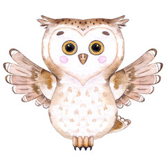 Watercolor owl character