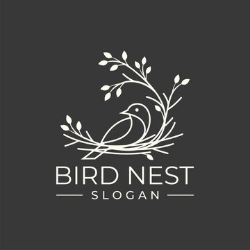 bird nest logo design vector illustration