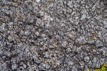 Background with granite stone overgrown with various moss and lichen.