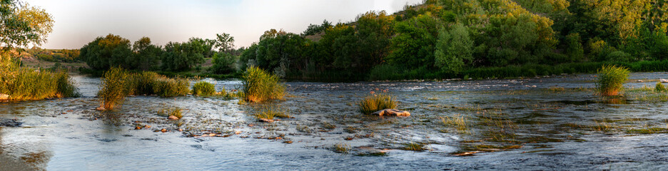 Panorama shallow fast river with rocky bottom, ariver overgrown with reeds and aquatic vegetation, Big green trees on bank