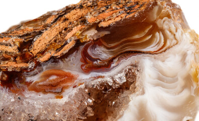 Macro mineral stone agate kidney gerbera on white background close up 