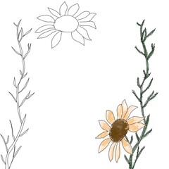 watercolor daisies and gerberas.  black grass outlines