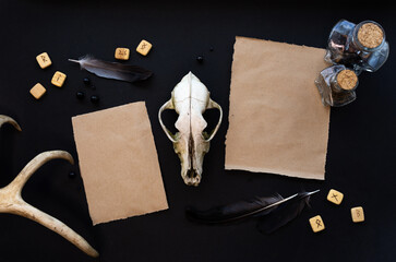 Kraft paper mockup template on black background with magical mysterious mood. 
