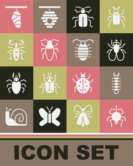 Set Spider, Centipede, Insect fly, Chafer beetle, Cockroach, Beetle deer, Butterfly cocoon and Larva insect icon. Vector