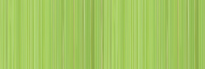 Abstract pattern green stripes for background design.