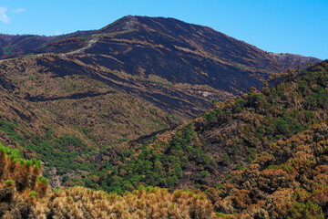 Fire in Jubrique, border with Sierra Bermeja in the Genal Valley, Malaga. Spain. September 2021