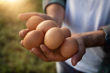 Close up of farmer is showing fresh eggs laid at the moment by ecologically grown hens in barn of...