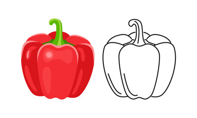 Bell pepper icon set. Vector color cartoon illustration of paprika and outline. Red vegetable.
