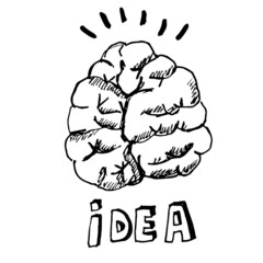 Vector hand drawn sketch of a brain and text idea.
