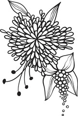 Black line floral arrangement, fancy outline flowers with leaves and pollen on white background, hand drawn botanical illustration