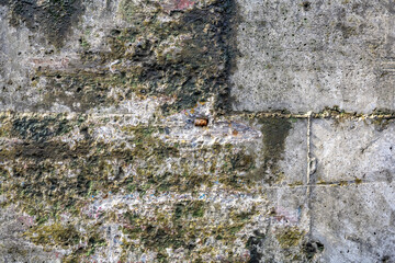Textured surface of gray concrete wall with scratches and cracks