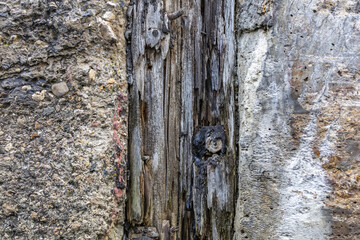 Textured surface of gray concrete wall with scratches and cracks