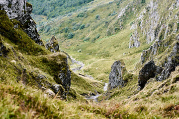 Fototapeta na wymiar Stream in a valley in Auvergne, France