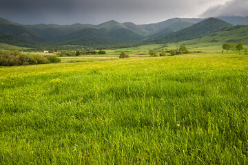 Fototapeta premium Idyllic and peaceful landscape in the countryside. Lush grass in the foreground and misty mountains in the distance as a background