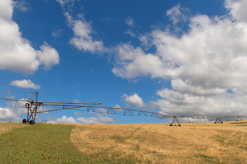 Fototapeta na wymiar Irrigation in landscape