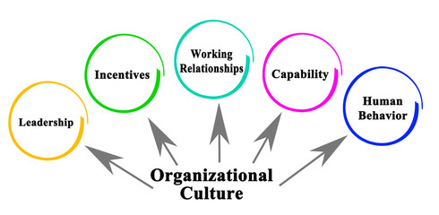 Five facets of Organizational Culture - obrazy, fototapety, plakaty