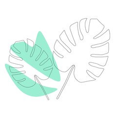 Exotic monstera. Continuous one-line drawing. Handmade summer tropical leaf on white background. Minimalist design.