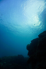 Obraz premium Beautiful and magic underwater photo of rays of light breaking through the surface and the waves. 