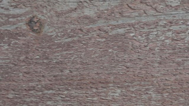 View of wooden brown texture with place for your text. 4k video footage for social media intro, film or documental history. Horizontal view