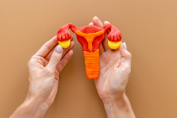 Gynecologist holds woman reproductive system model. Women health care concept