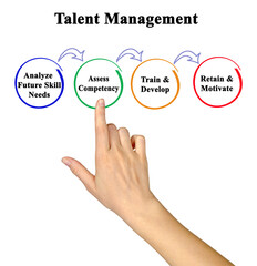 Four Components of Talent Management