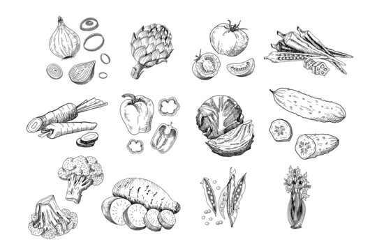 Vegetables. Hand drawn illustrations. Collection of vector sketches.