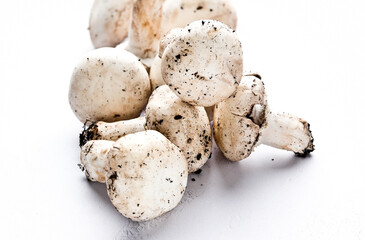 The common mushroom, white background, in studio. Spain