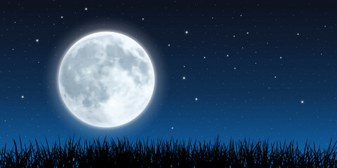 Fototapeta na wymiar Full Moon Rising. Starry Night