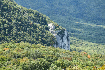 landscape in the mountains