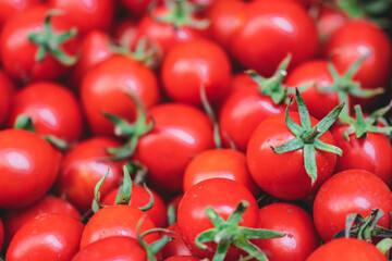 Fresh bio red cherry tomatoes in a market, close up