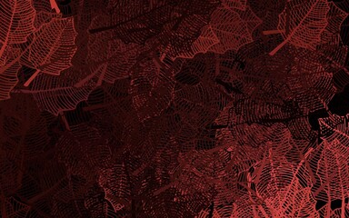 Dark Red vector doodle backdrop with leaves.