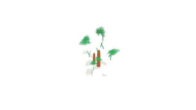 Palms icon animation isometric best object on white backgound