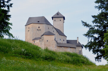 Fototapeta na wymiar Burg Rappottenstein