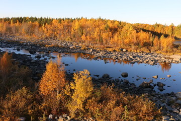 autumn trees reflected in water