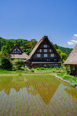 Fototapeta na wymiar 日本の美 白川郷の合掌造の家