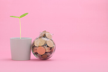 Ideas save money invest in stocks, grow income taxes