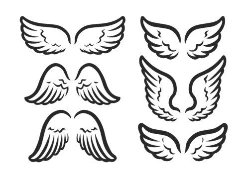 Wings set. Symbol of freedom. Outline vector illustration