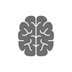 Brain, mind, intelligence grey icon. Isolated on white background